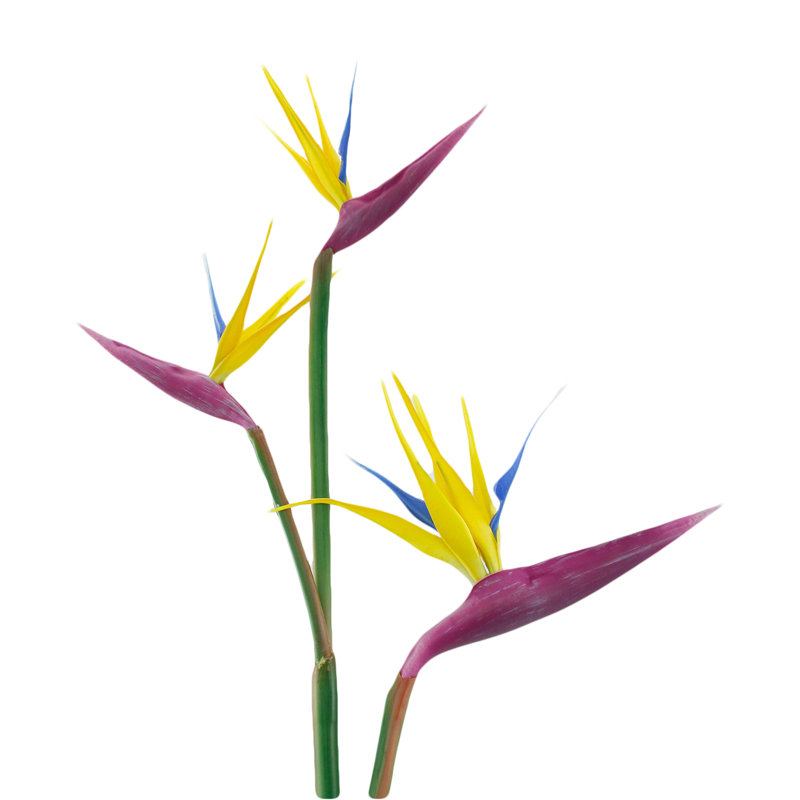 Primrue Premium Lifelike Real Touch Artificial Bird of Paradise Stems